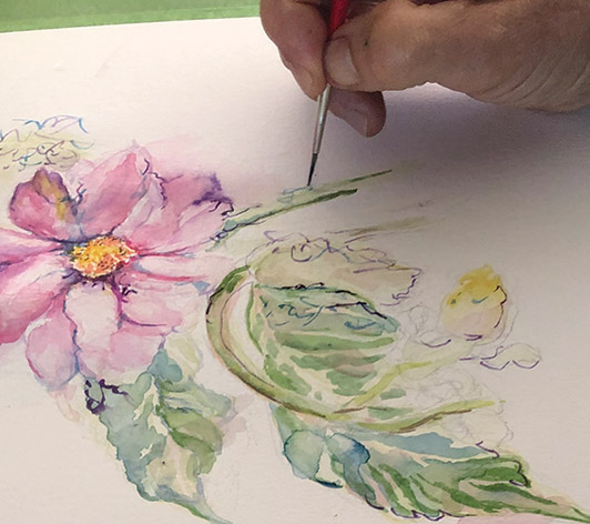 water colour flower